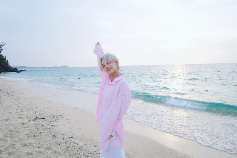 The Best Of SEVENTEEN JeongHan s Boyfriend Material Pictures  - 60