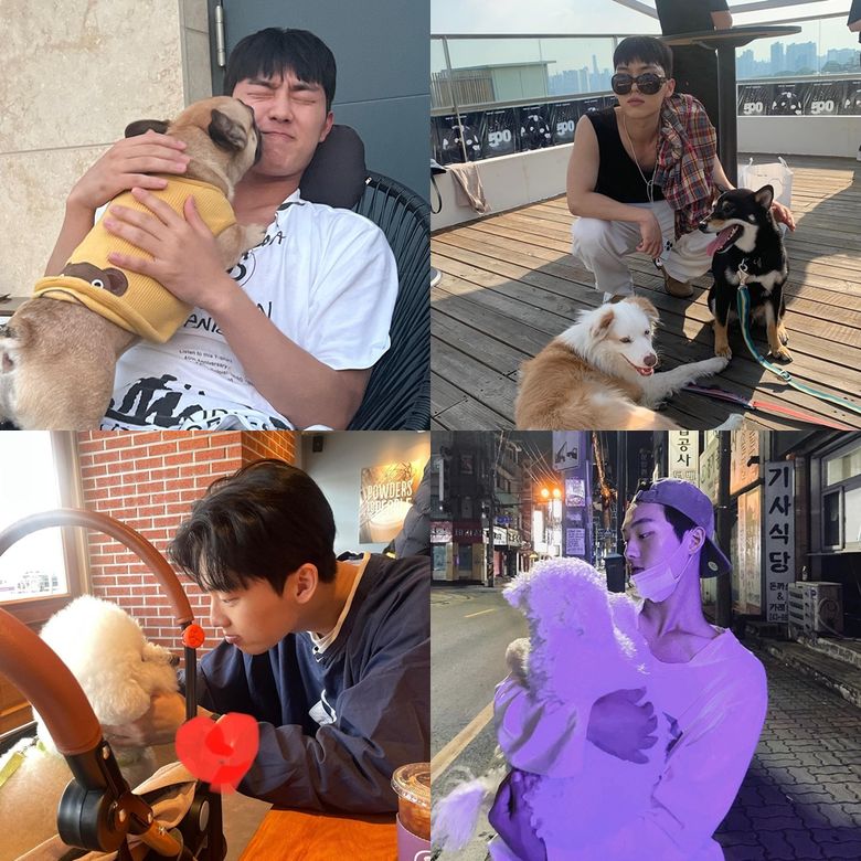 Choi HyunWook'un Erkek Arkadaş Malzeme Resimlerinden En İyileri