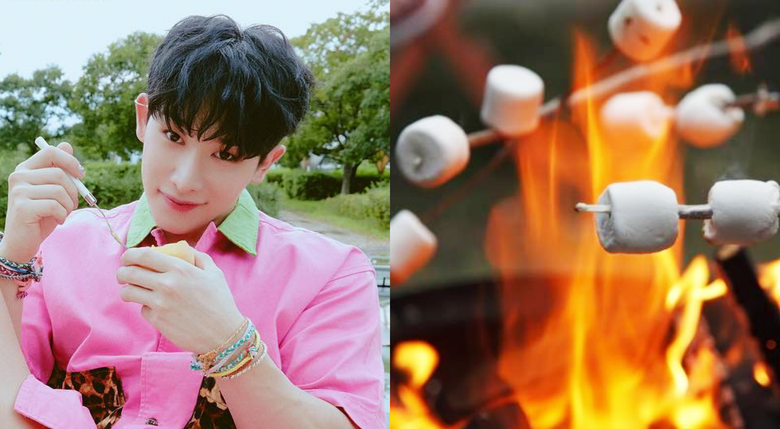  En Sevdiğimiz Temsilcimiz Olan 5 Erkek K-Pop İdolü Sonbahar/Sonbahar İçimizi Sıcak Hissettiren Öğeler