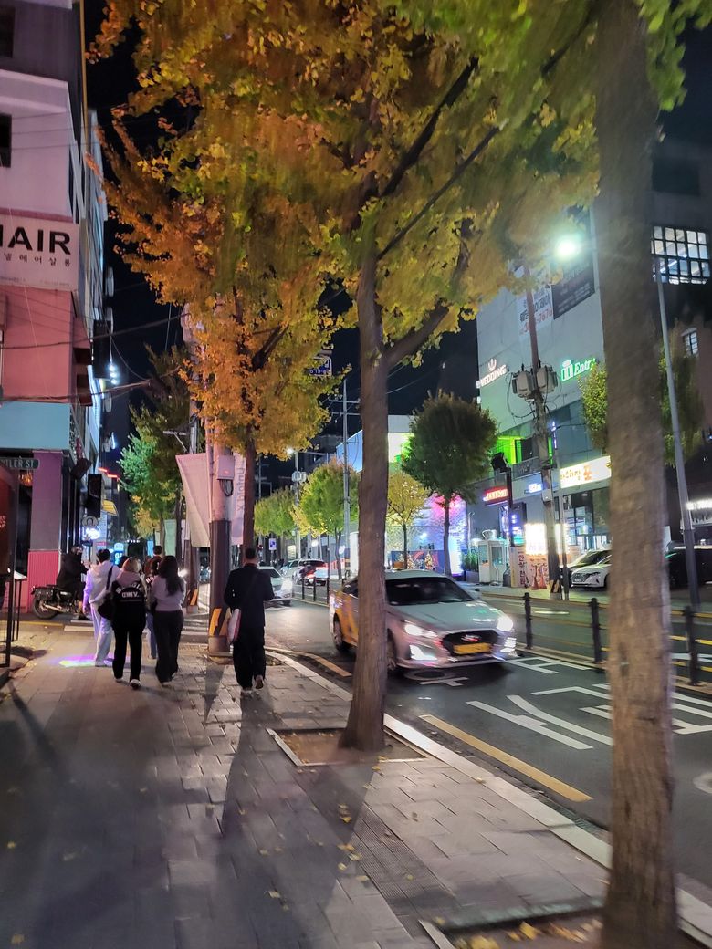 Kaçış Serisini Keşfetmek: Seul'e Varmak Nasıl Bir Duygu