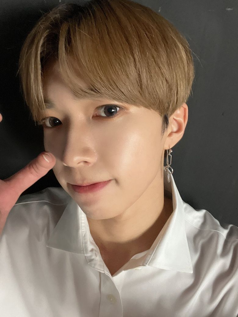  9 Male K-Pop Idols Represented By Uncommon Animal Emojis (Part 2)
