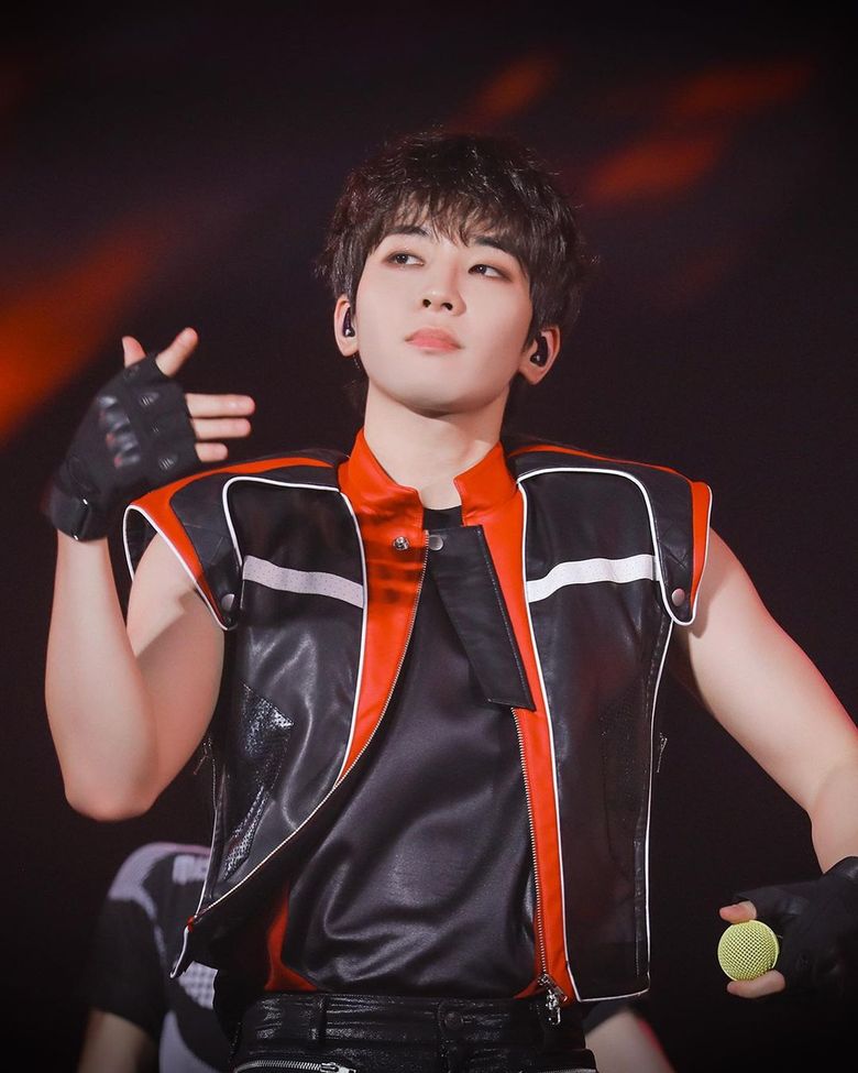  5 Of SEVENTEEN WonWoo's Spellbinding Charms That Will Make You Fall For Him