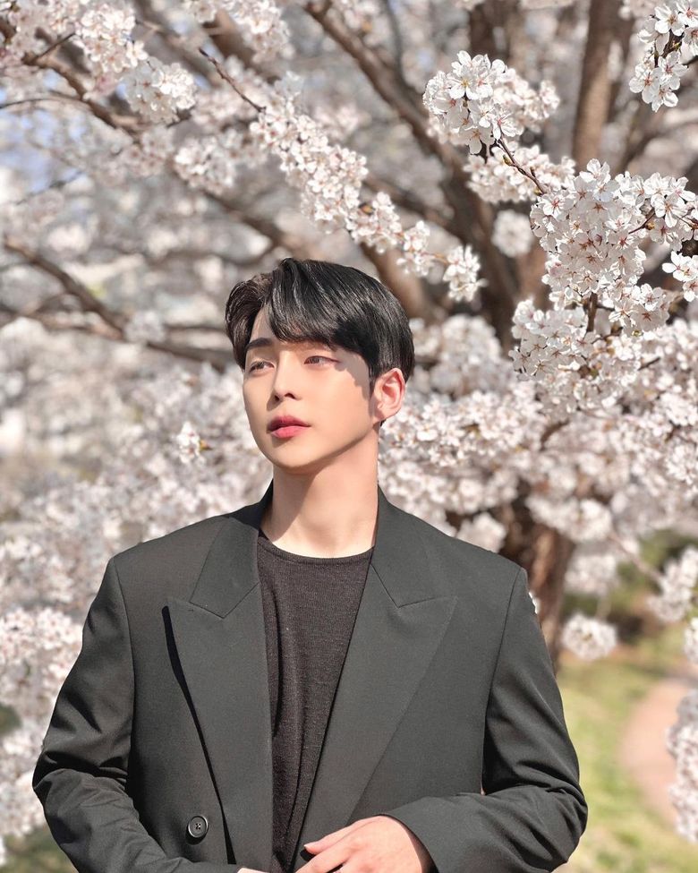 How To Take Pictures Of Your Boyfriend During Cherry Blossoms Like Korean Influencers