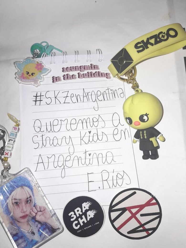 The Revolution of STAY Argentina: Making History to Bring Stray Kids Home