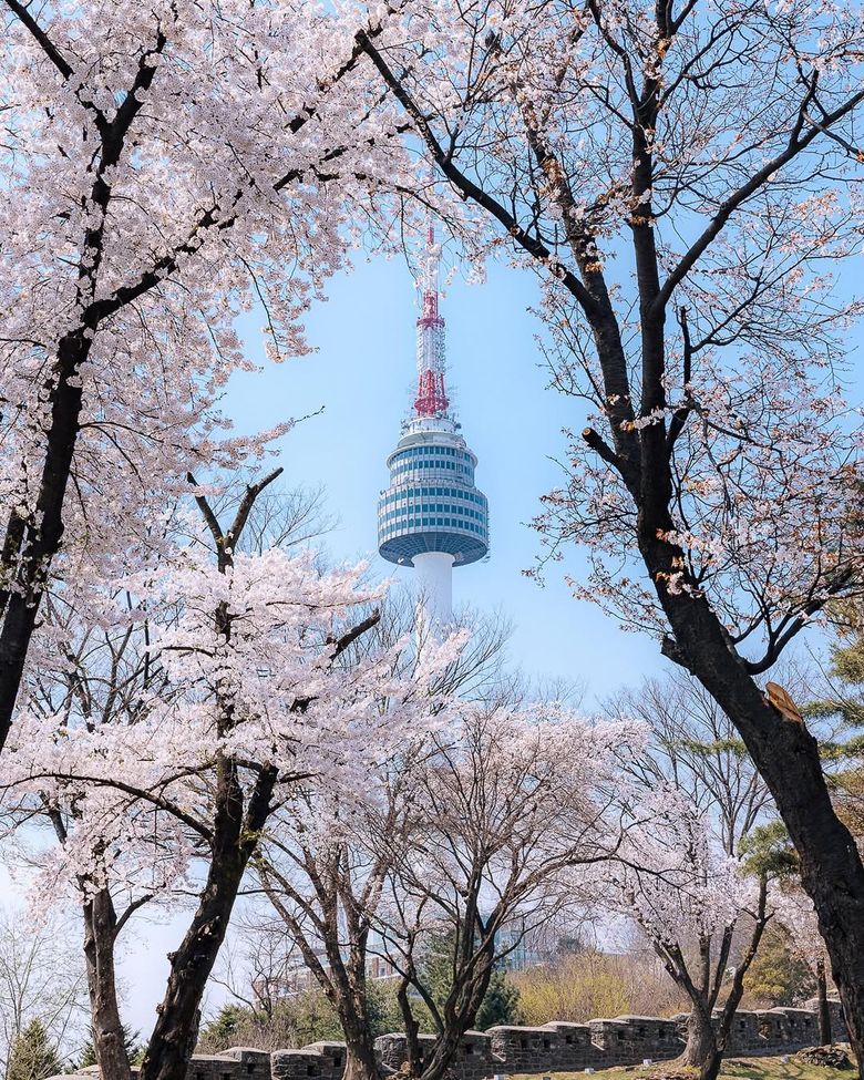 South Korea Travel Trends: How Are Tourists Exploring The Country Differently Today?