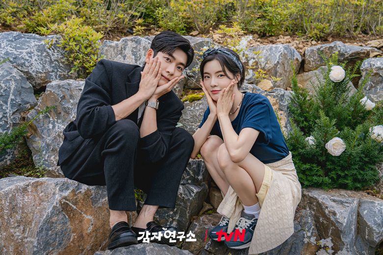 A K-Drama Hidden Gem - Why "The Potato Lab" Is Making Waves And Should Be Added To Your Watchlist