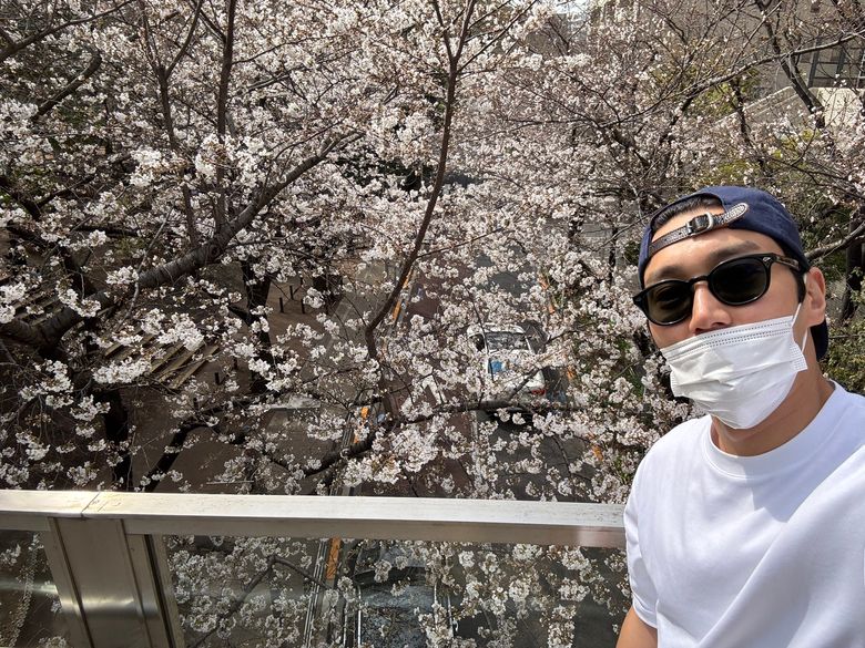 Idols And Cherry Blossoms: The Perfect Spring Aesthetic