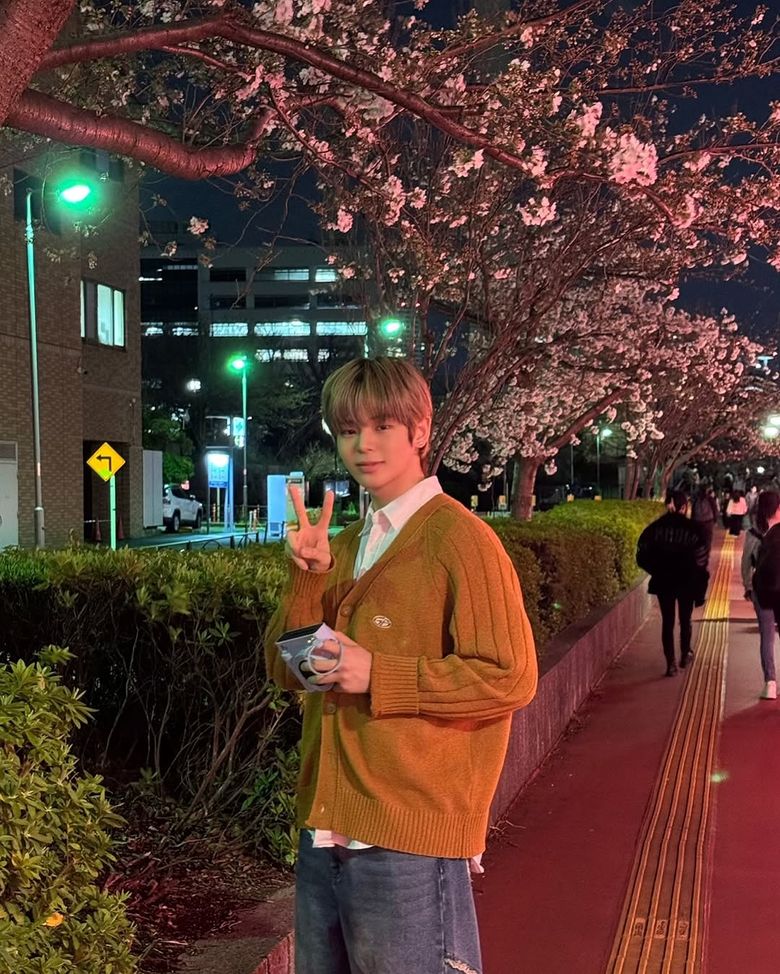 Idols And Cherry Blossoms: The Perfect Spring Aesthetic