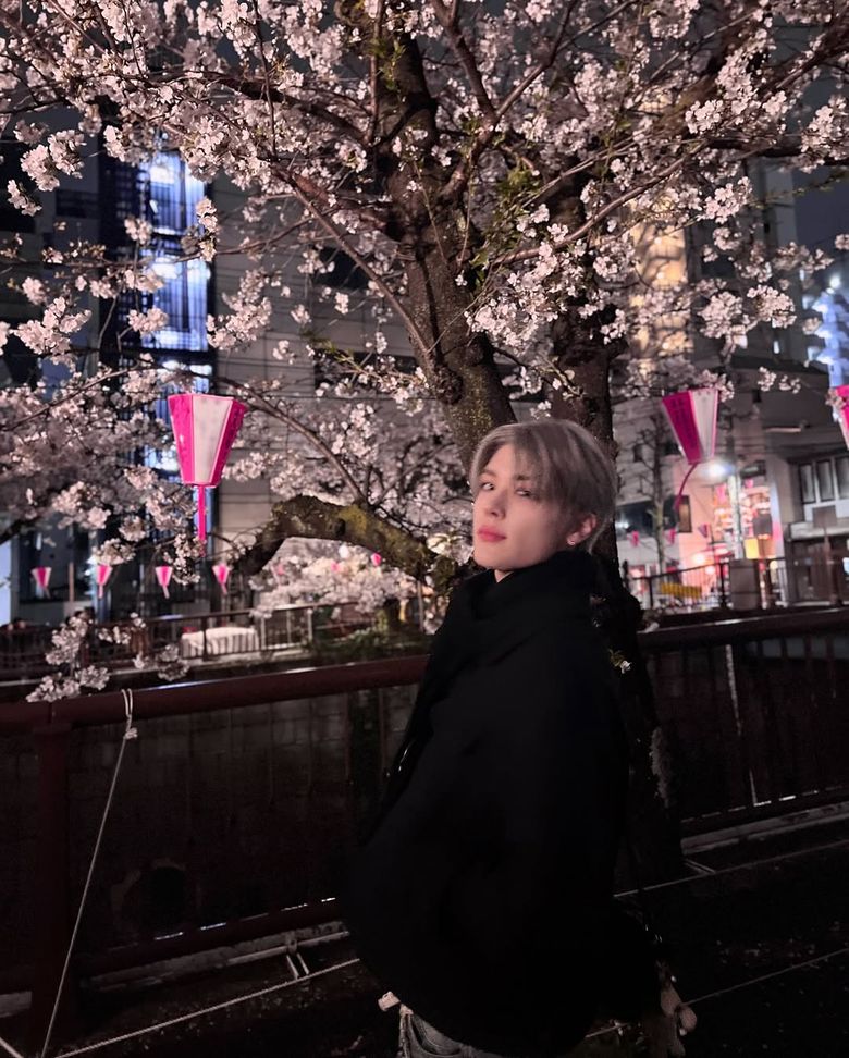 Idols And Cherry Blossoms: The Perfect Spring Aesthetic