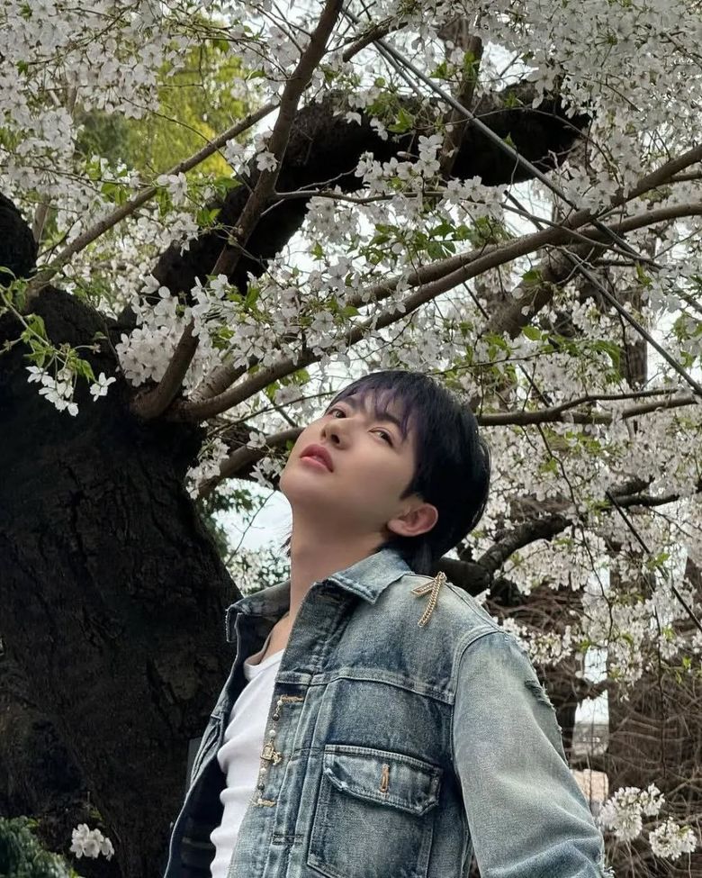Idols And Cherry Blossoms: The Perfect Spring Aesthetic