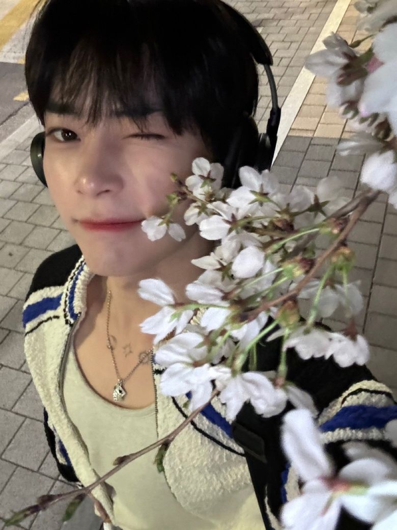Idols And Cherry Blossoms: The Perfect Spring Aesthetic