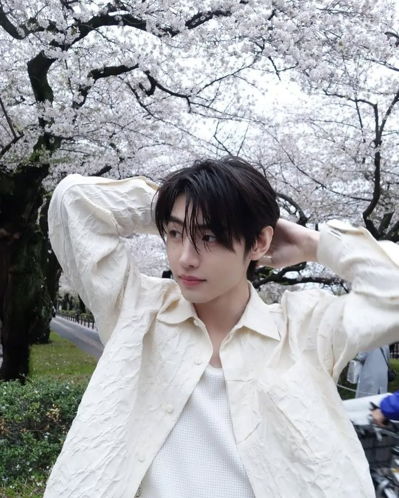 Idols And Cherry Blossoms: The Perfect Spring Aesthetic