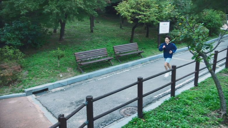 “Shark: The Storm” K-Drama: Plot, Cast, Filming Location, Reviews And Where To Watch