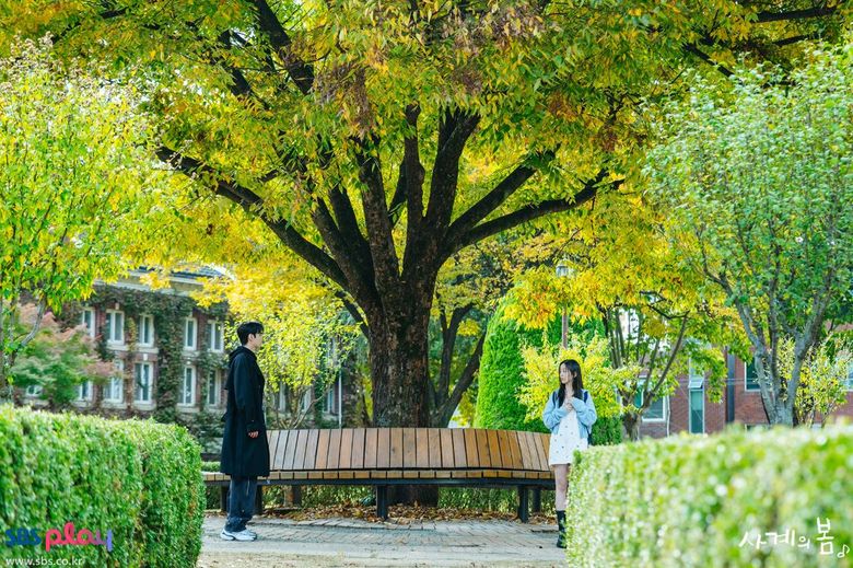 "Spring of Youth" K-Drama: Cast, Plot, Filming Locations & Where To Watch
