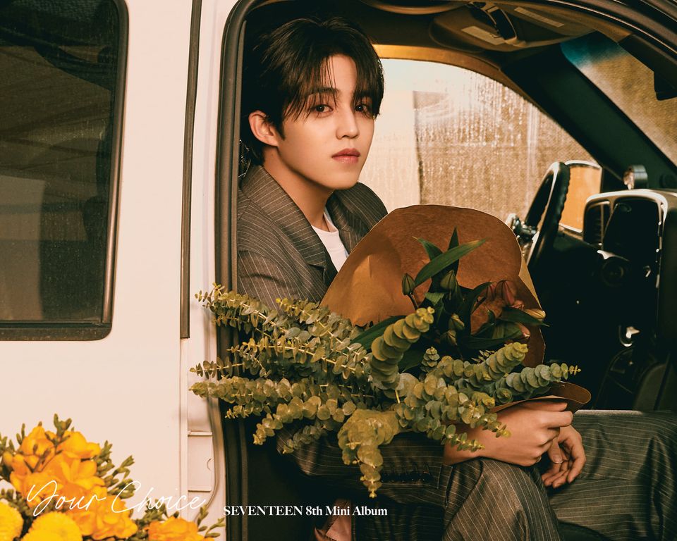 seventeen your choice album