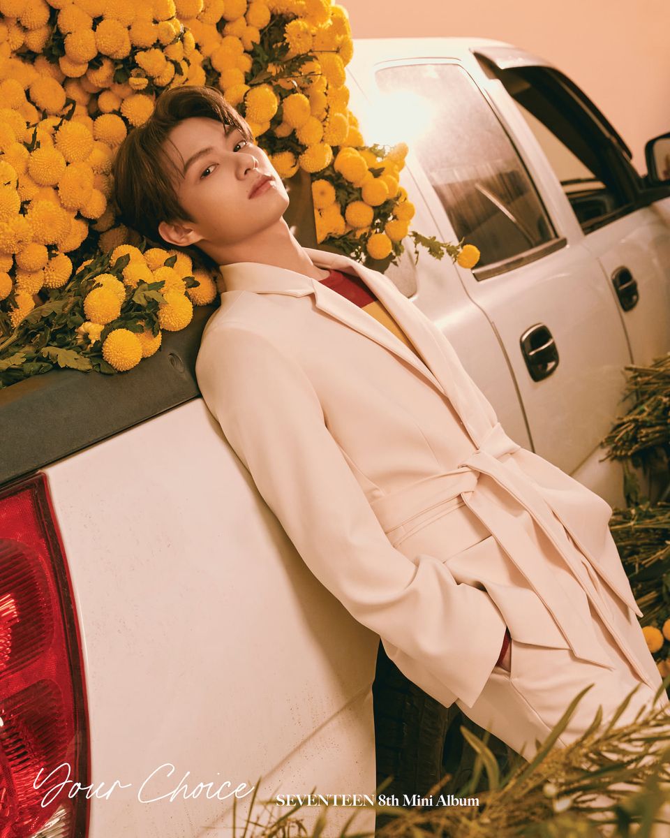 seventeen your choice album